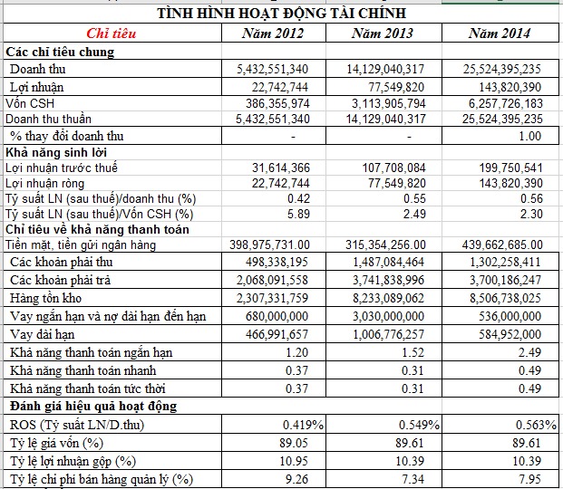 Mẫu Báo cáo tài chính