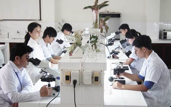 Nghiên cứu viên là ai? Hiểu đúng về một nghề nghiệp trí tuệ và đóng vai trò nền tảng