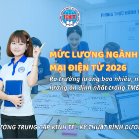 Mức lương ngành Thương mại điện tử 2026